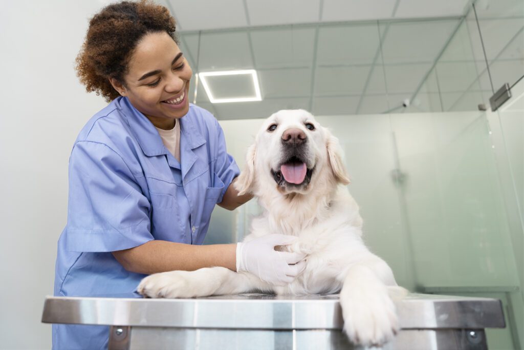 Hiring relief veterinarians to enhance clinic efficiency.