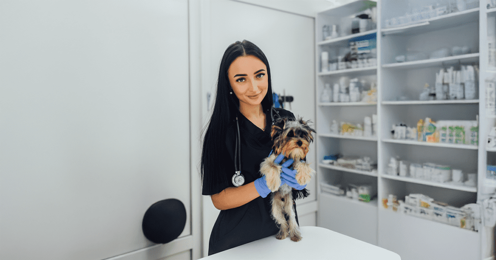 A relief veterinarian providing care to an animal in a veterinary clinic, highlighting the role of temporary veterinary staff in maintaining flexible and efficient veterinary care.