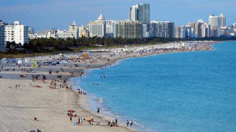 Veterinary services in Florida, featuring vet clinics, veterinary jobs, relief vet opportunities, flexible vet jobs, and information on relief vet salary, requirements, and temporary vet jobs in Florida. Discover veterinary career paths and job opportunities for veterinarians and vet assistants in Florida.