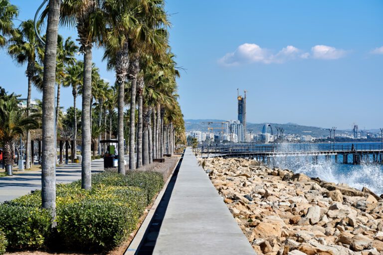 Veterinary services in California, featuring vet clinics, veterinary jobs, relief vet opportunities, flexible vet jobs, and insights on relief vet salary, requirements, and temporary vet jobs in California. Discover veterinary career paths and job opportunities for veterinarians and vet assistants in California.