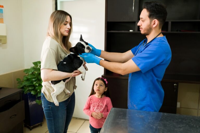 A mobile veterinarian in a fully equipped van examining a golden retriever outdoors, showcasing the flexibility and convenience of mobile veterinary care.