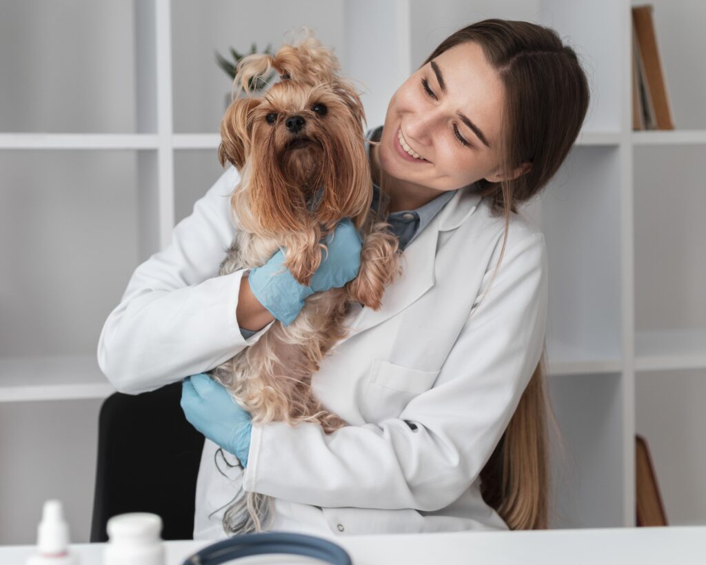 A relief veterinarian examining a dog in a clinic, highlighting the importance of relief vet licensing for temporary veterinary work.