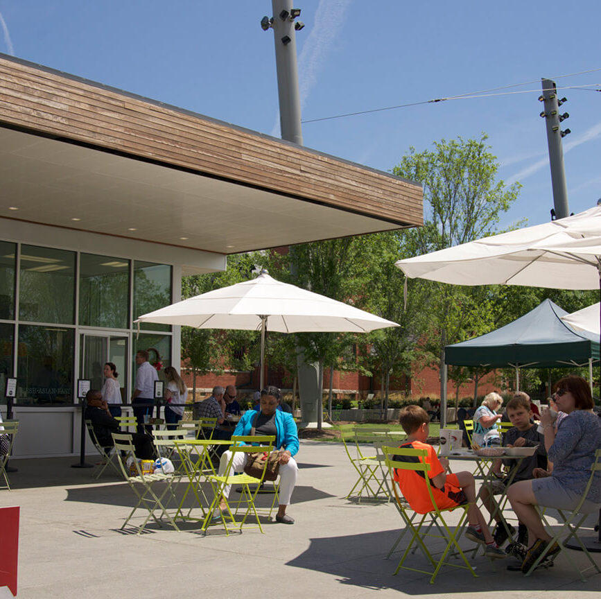 Relief veterinarian working at a clinic in Greensboro, North Carolina.