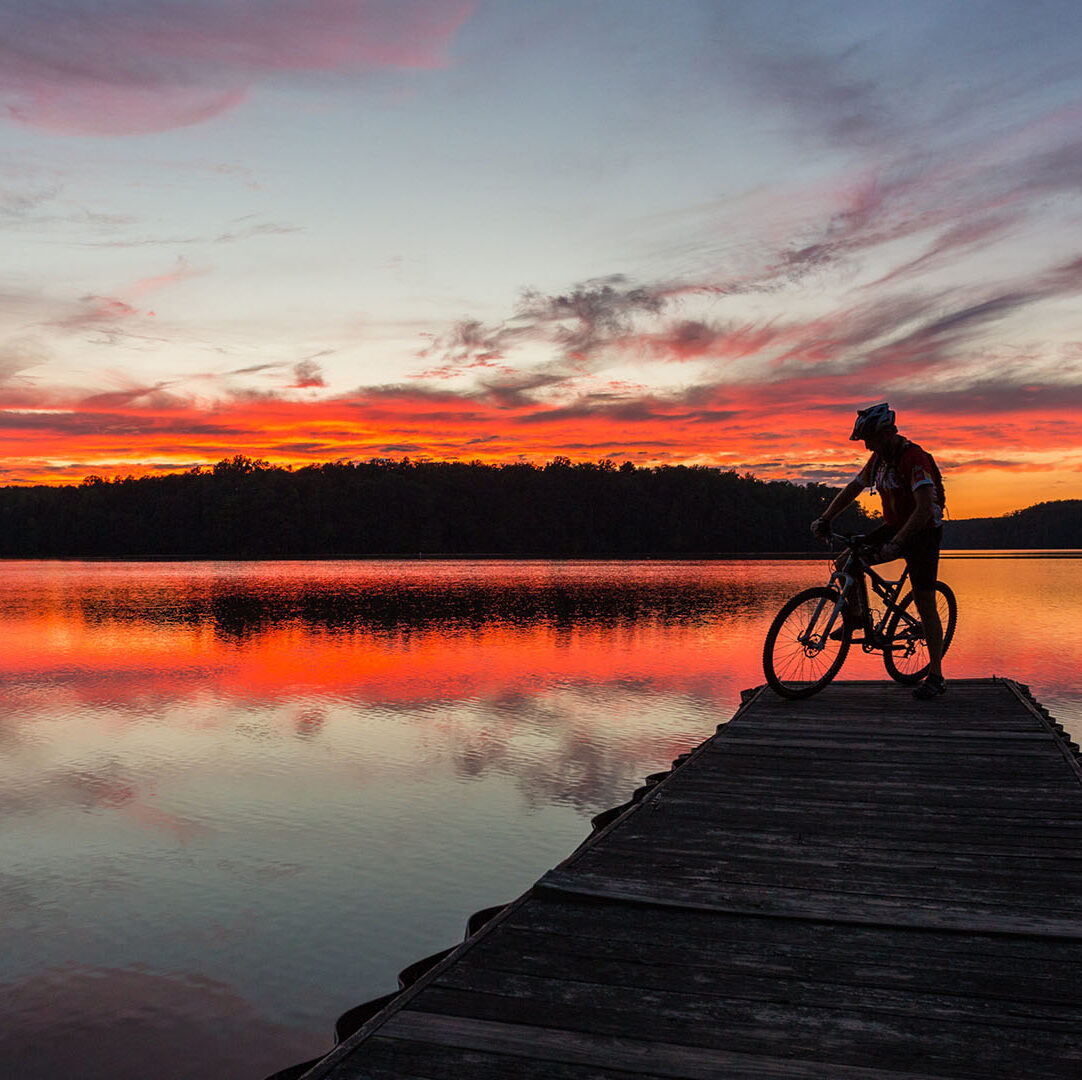 Relief veterinarian working at a clinic in Greensboro, North Carolina.
