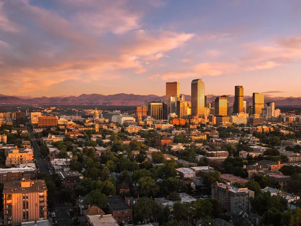 Relief veterinarian working at a clinic in Denver