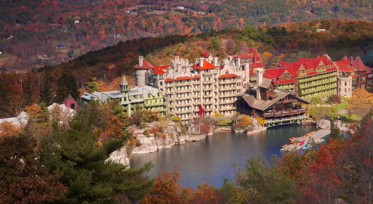 Relief veterinarian working at a clinic in Hudson Valley