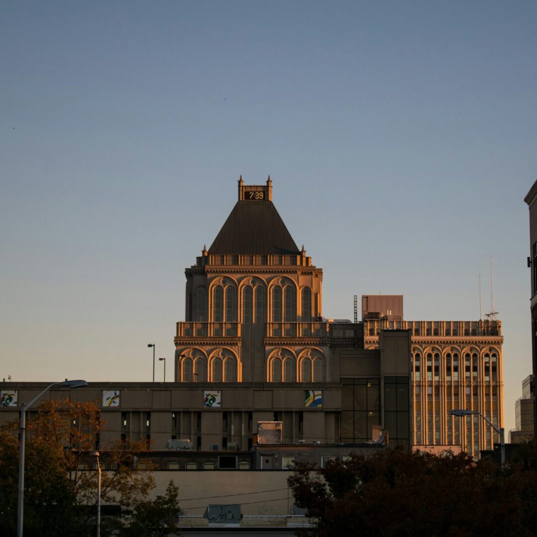 Relief veterinarian working at a clinic in Greensboro, North Carolina.