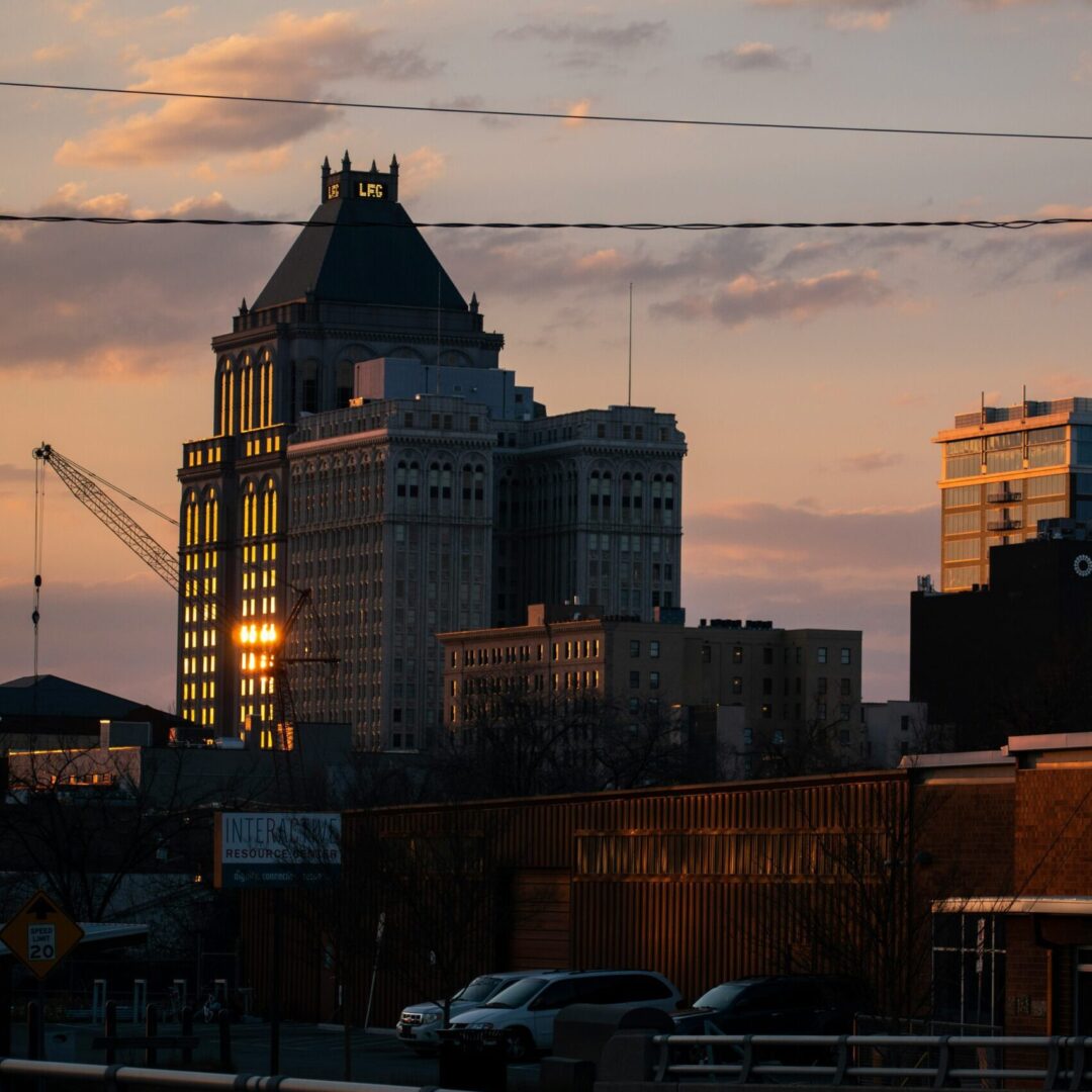 Relief veterinarian working at a clinic in Greensboro, North Carolina.