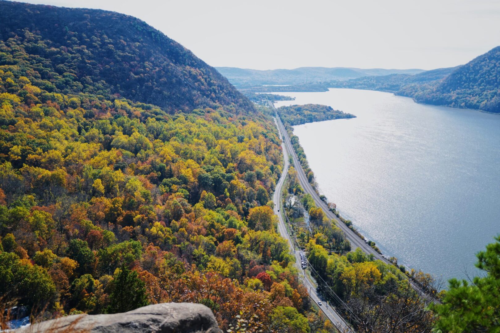 Relief vet in Hudson Valley working at a local animal clinic.