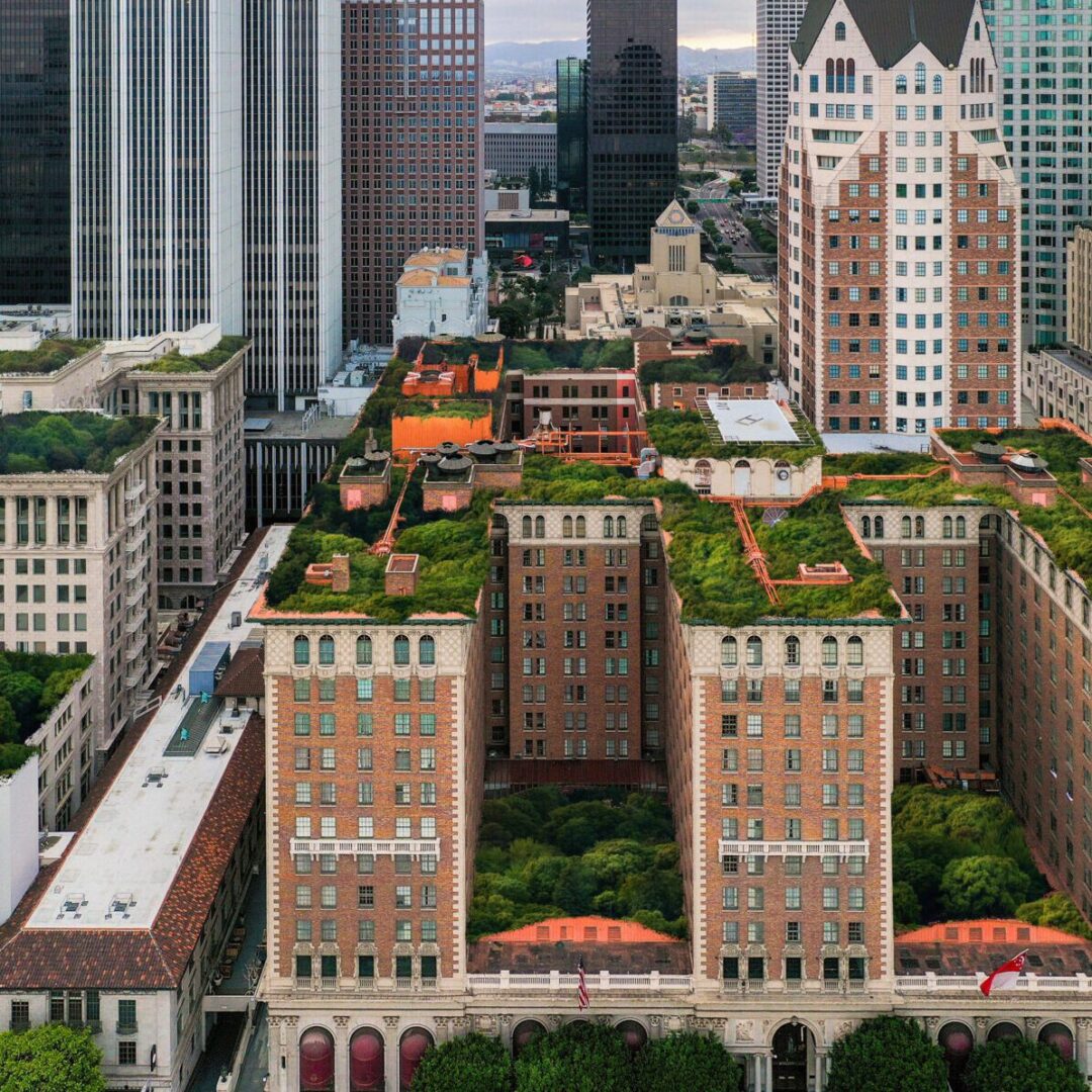 Skyline view of Charlotte, North Carolina—home to top relief vet opportunities