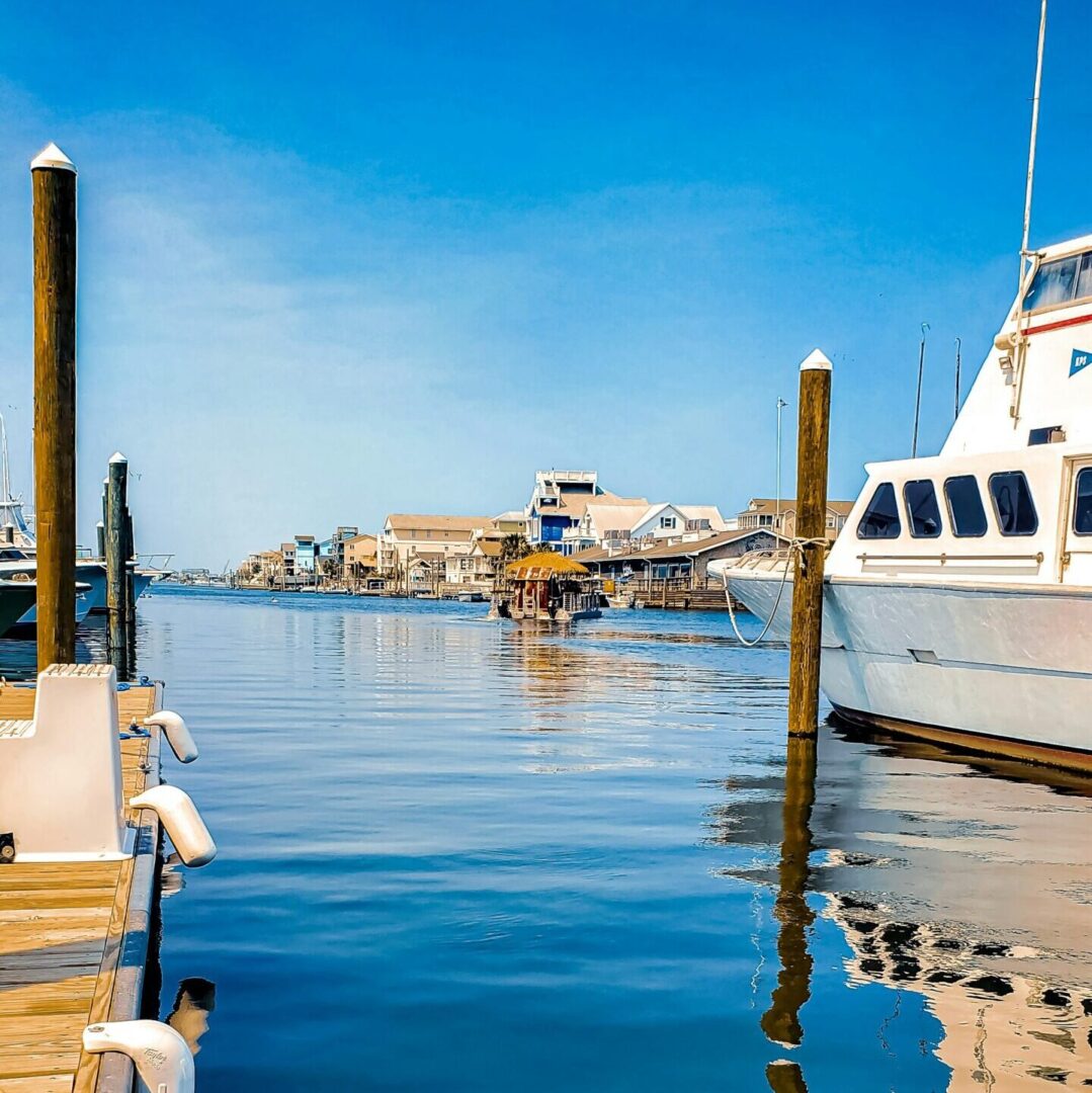 Image of a veterinarian working at a clinic in Wilmington, NC.