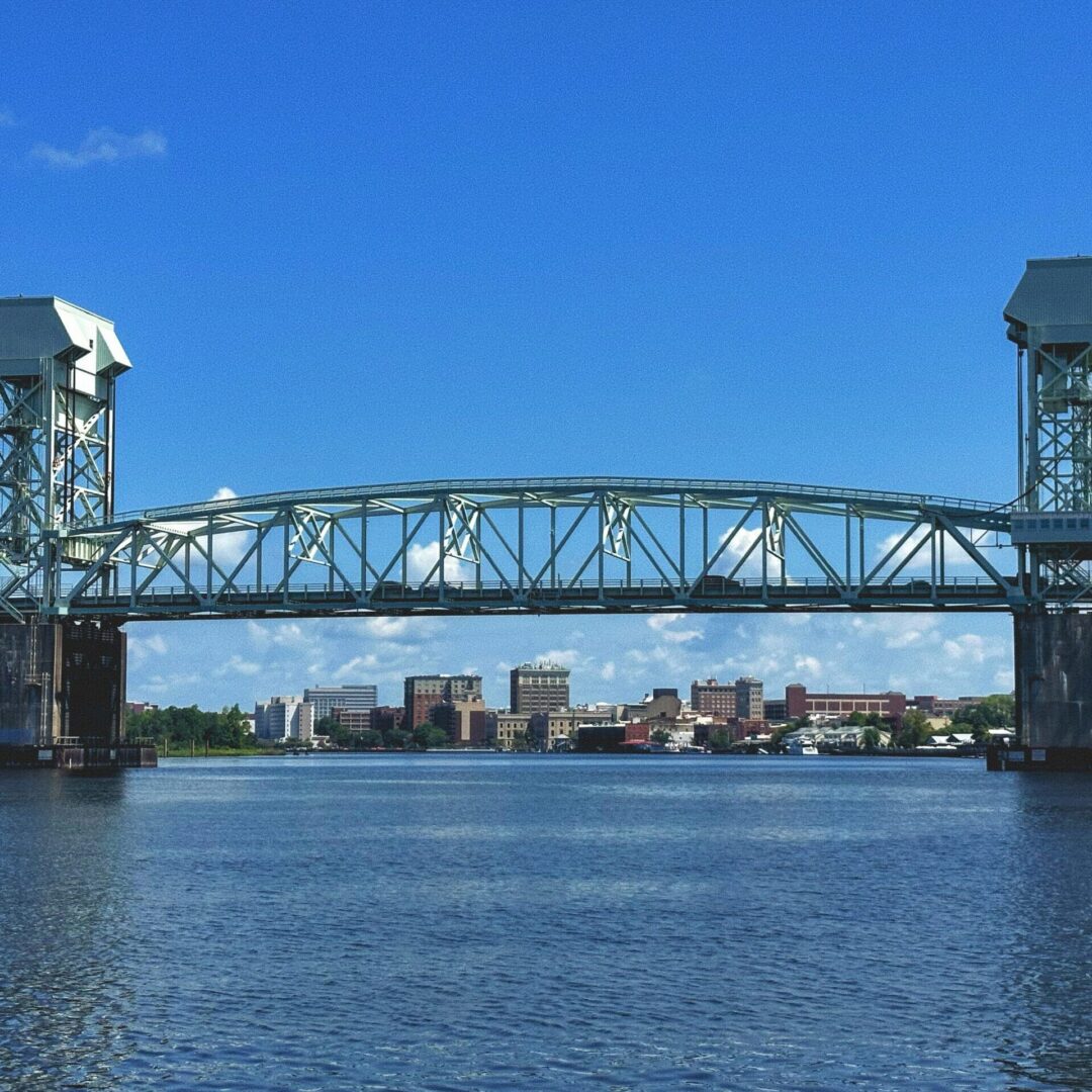 Image of a veterinarian working at a clinic in Wilmington, NC.