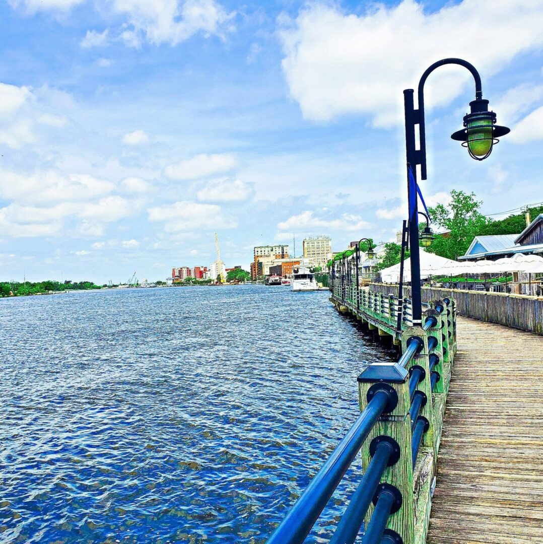 Image of a veterinarian working at a clinic in Wilmington, NC.