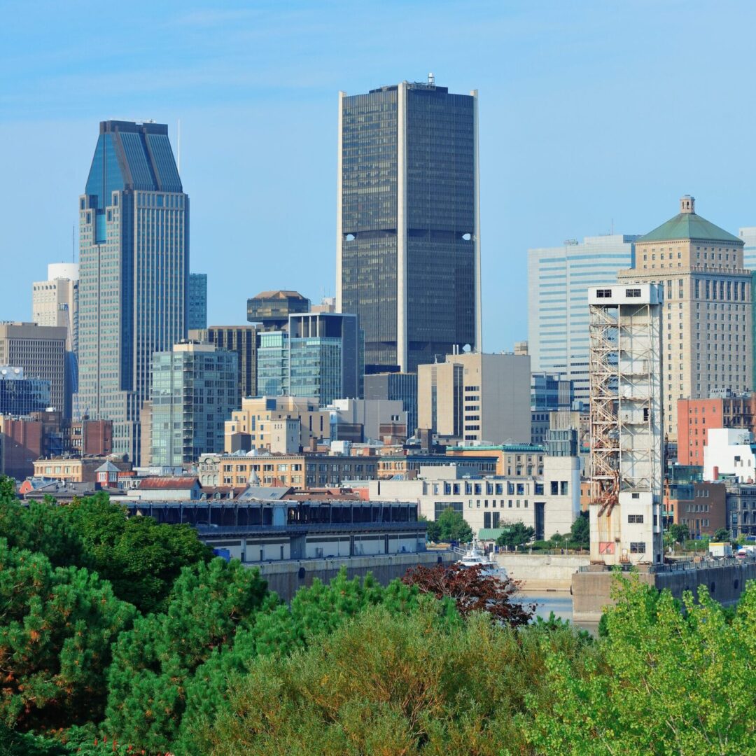 Skyline view of Charlotte, North Carolina—home to top relief vet opportunities