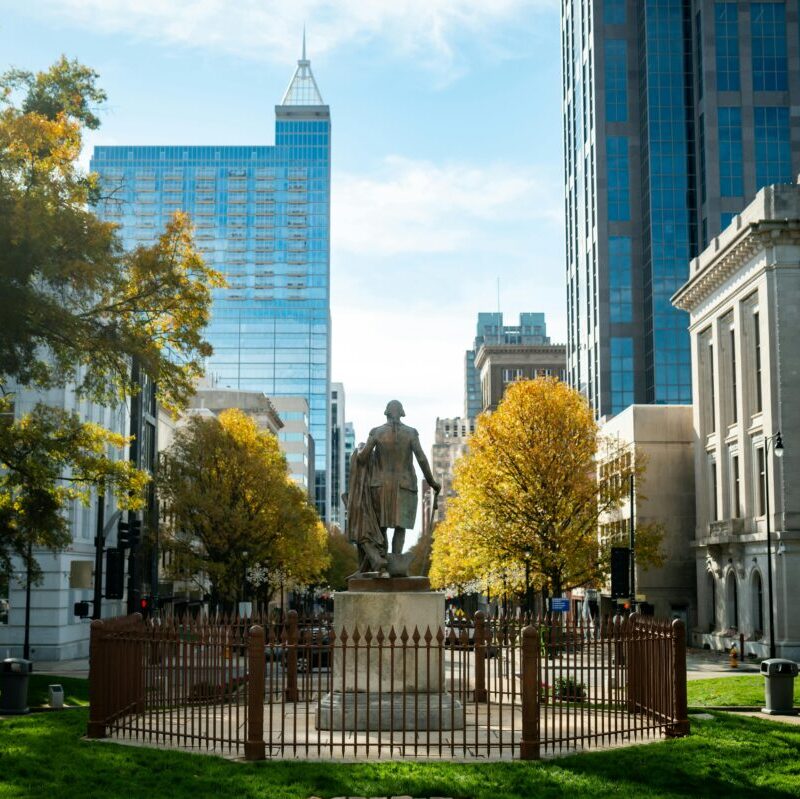 Relief vet in Raleigh-Durham examining a dog at a local clinic