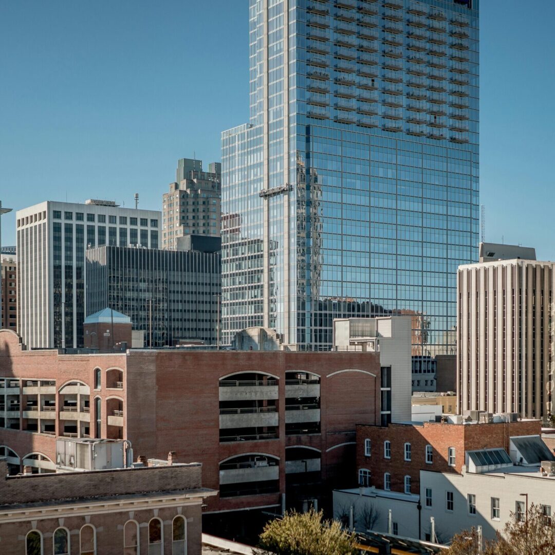 Relief vet in Raleigh-Durham examining a dog at a local clinic