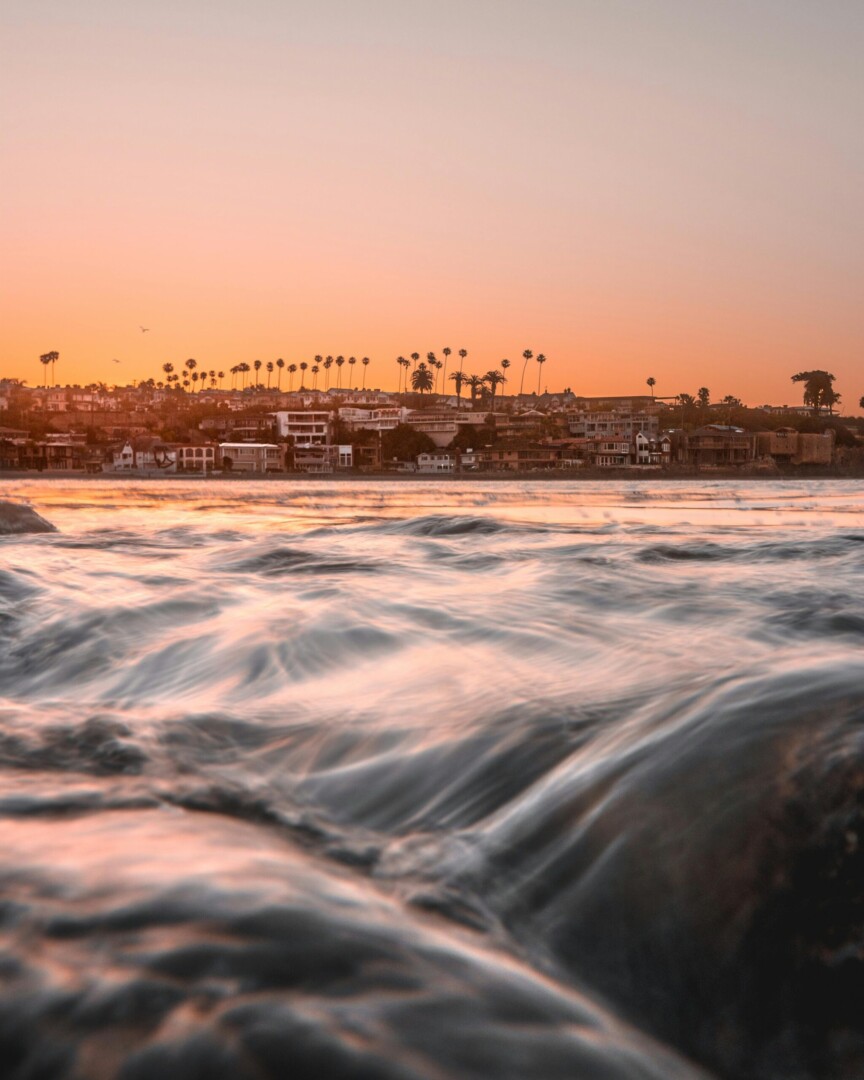 Veterinary relief job opportunities in Newport Beach, CA