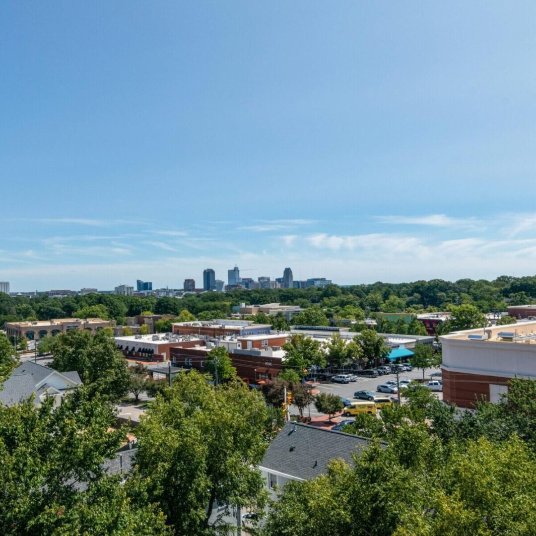 Relief vet in Raleigh-Durham examining a dog at a local clinic