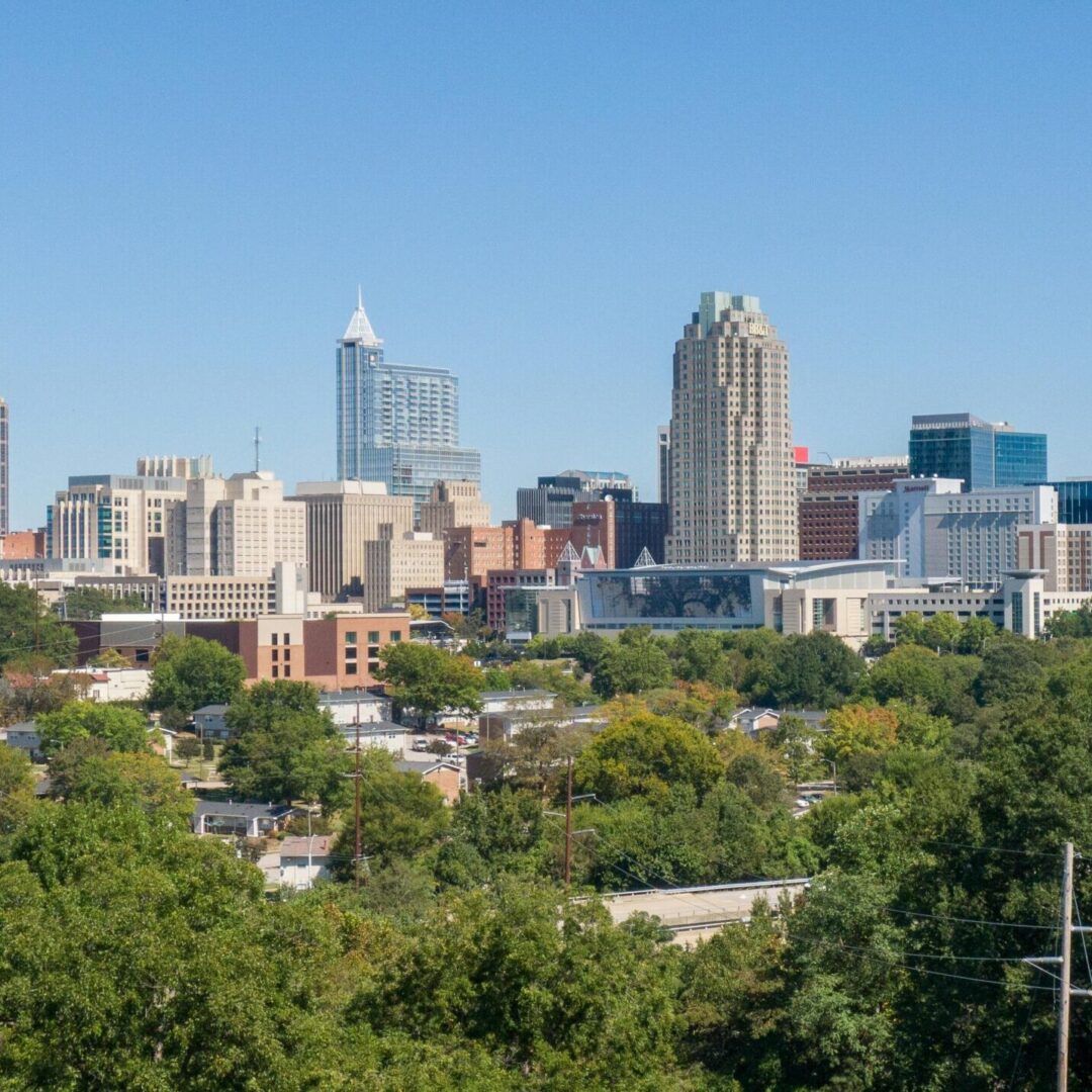 Relief vet in Raleigh-Durham examining a dog at a local clinic