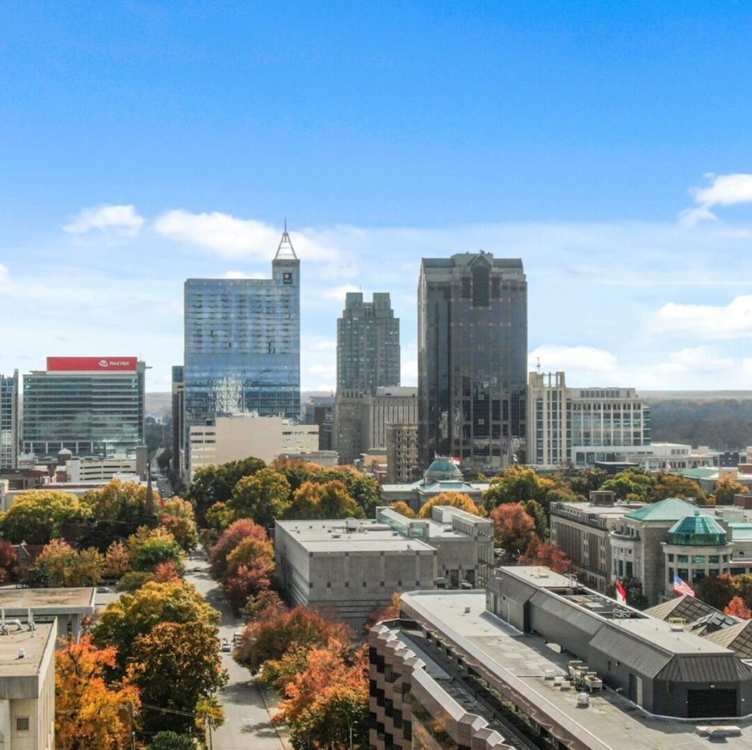 Relief vet in Raleigh-Durham examining a dog at a local clinic