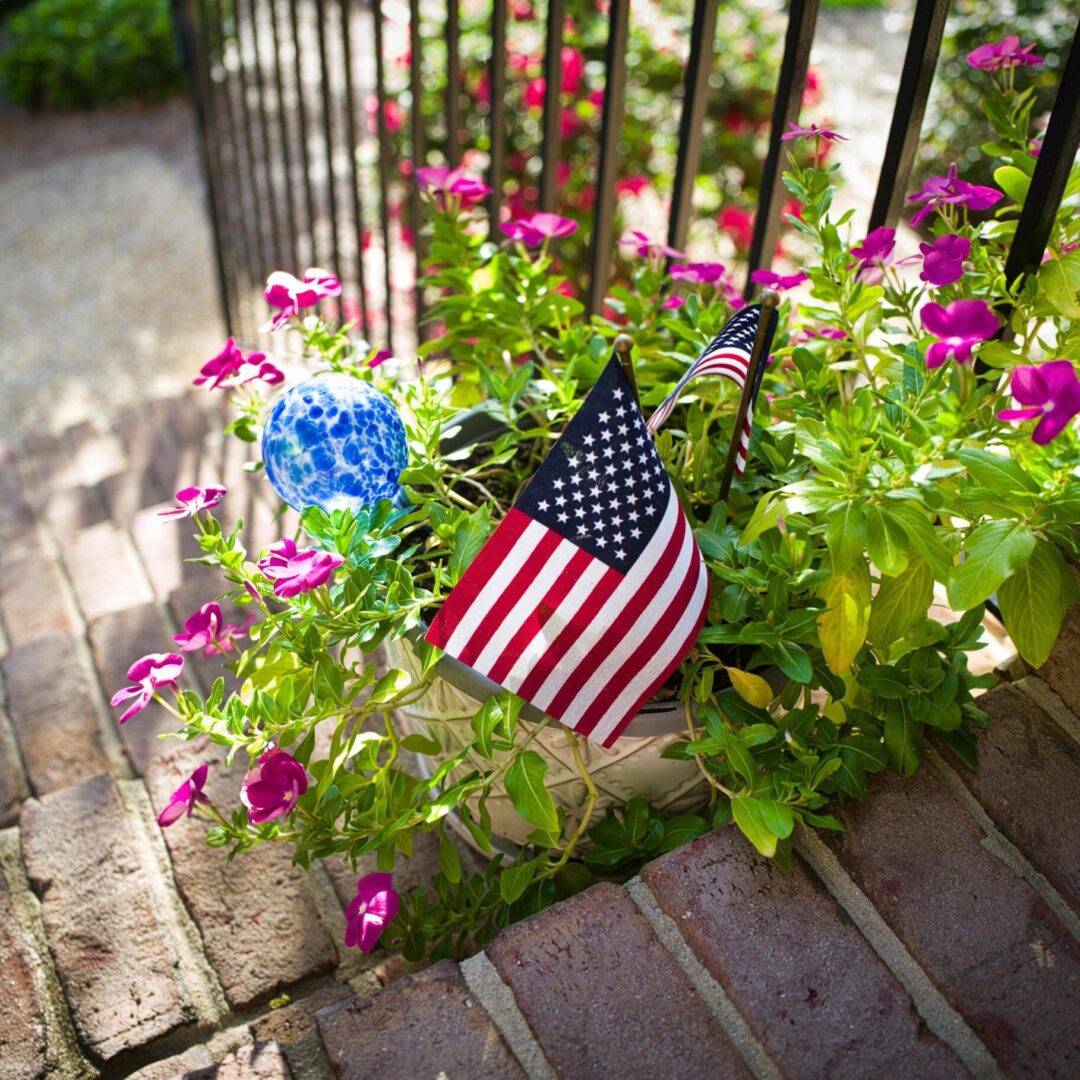 Image of a veterinarian working at a clinic in Wilmington, NC.