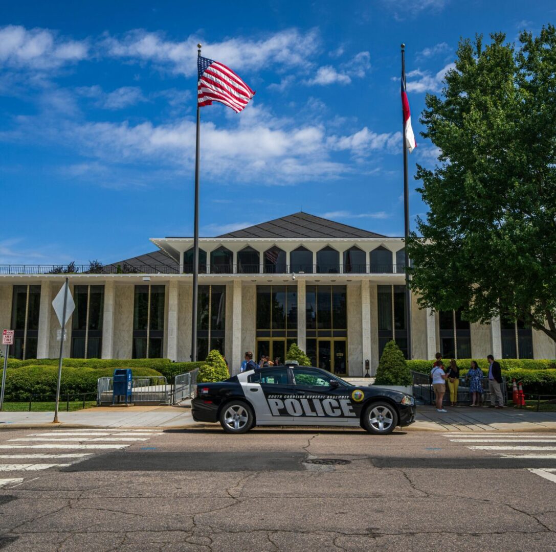 Relief vet in Raleigh-Durham examining a dog at a local clinic