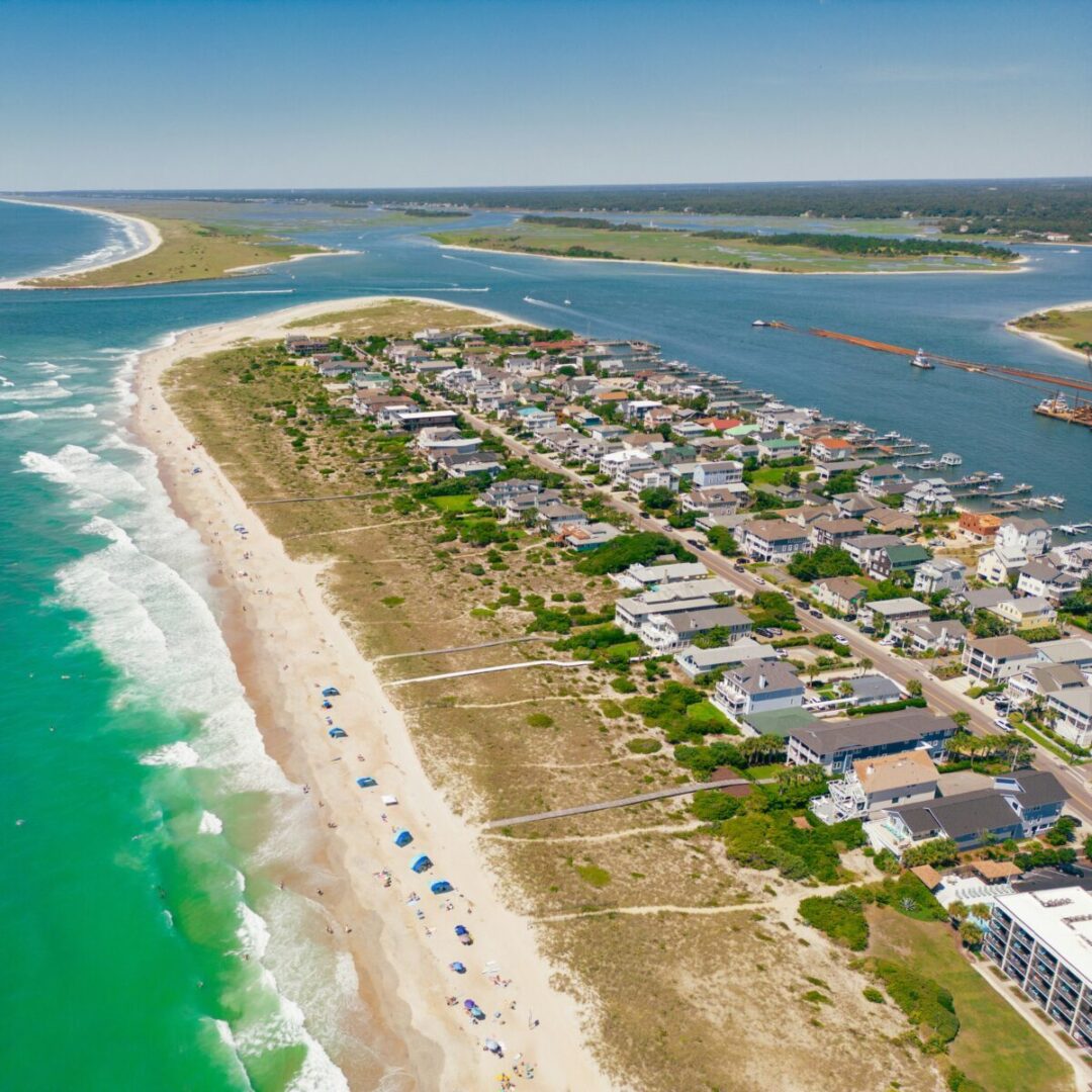 Image of a veterinarian working at a clinic in Wilmington, NC.
