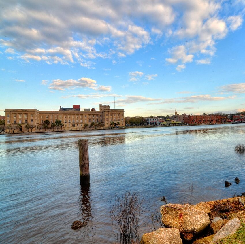 Image of a veterinarian working at a clinic in Wilmington, NC.