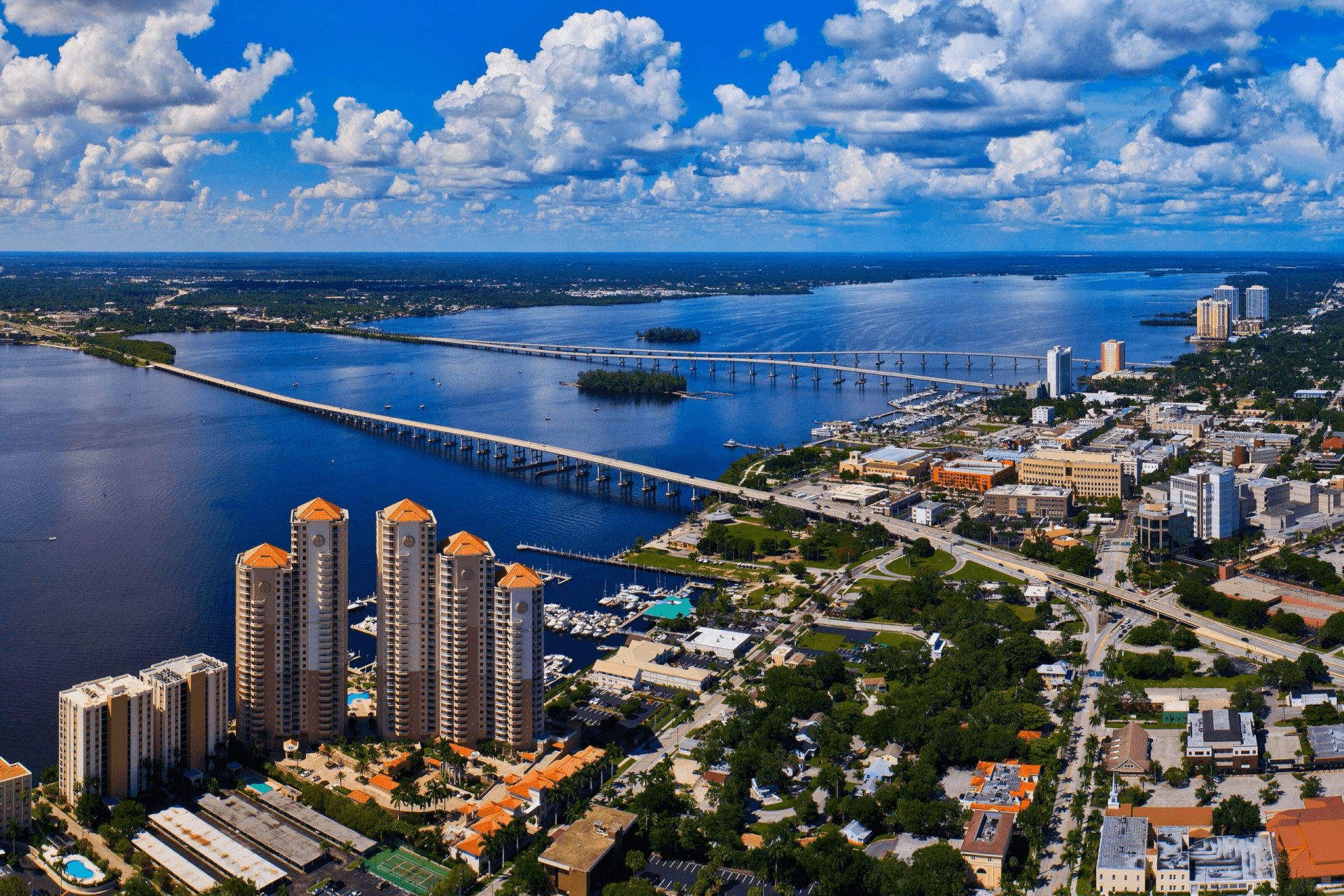 Relief veterinarian working at a clinic in Fort Myers