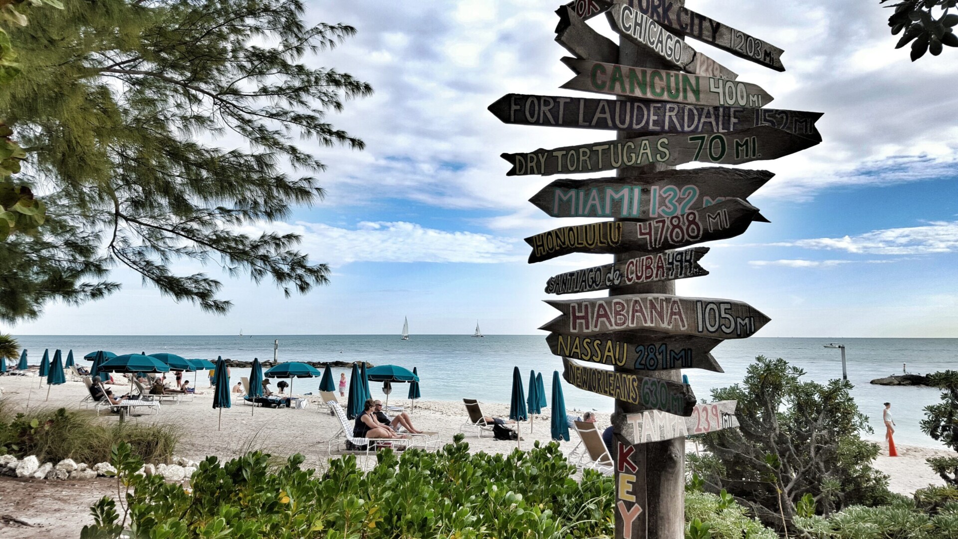 key west veterinary clinic, vet jobs key west, relief vets key west, vet tech key west, animal hospital key west, pet care key west, key west vet staffing, florida vet jobs, florida keys vet clinic