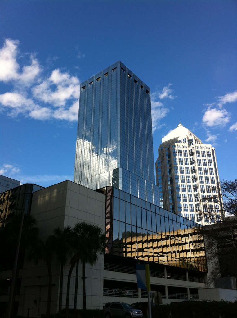 tampa veterinary clinic, vet jobs tampa, relief vets tampa, vet tech tampa, animal hospital tampa, pet care tampa, tampa vet staffing, florida vet jobs, tampa bay vet clinic